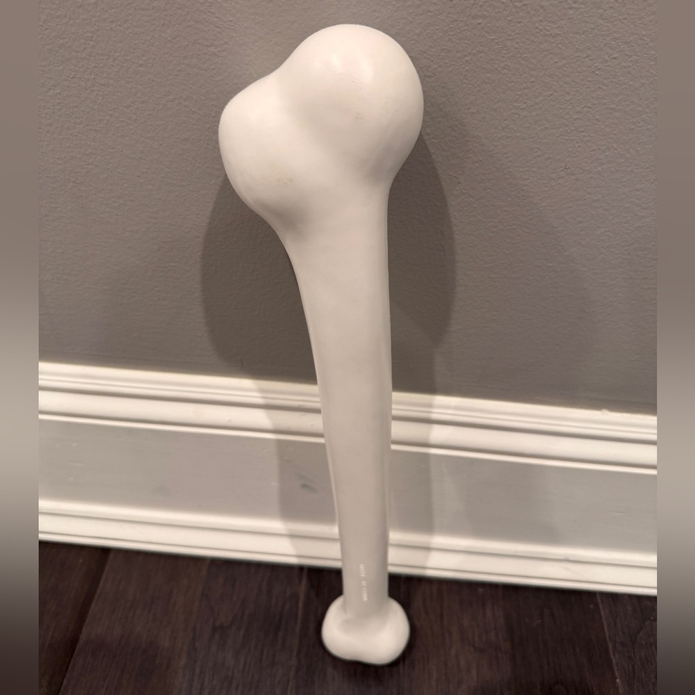 The Flintstones White Dinosaur Bone Bam Bam Pebbles Halloween Costume Accessory